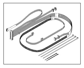 Cable Assembly (Main)
