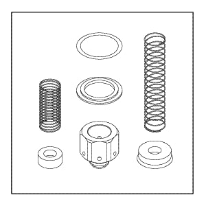 Check Valve Rebuild Kit  100,200 Series     CSK066