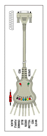 Patient Cable - 10 Lead Fixed Banana KKB002