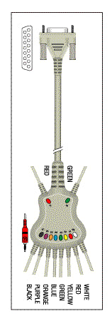 Patient Cable - 10 Lead Fixed Banana KKB007