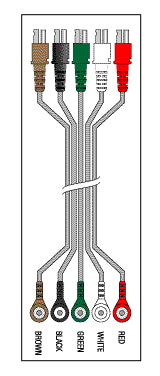 5 Leadwire Set Disposable 30" Dual/Snap LDM307